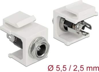Delock Keystone Module DC 5.5