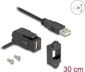 Delock Keystone Module USB 2.0