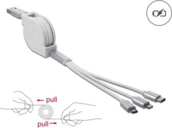 Delock USB Type-A 3 in 1