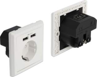 Delock Wall Socket with 2 x