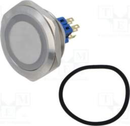 E-SWITCH Switch: vandal resistant; Pos: 2
