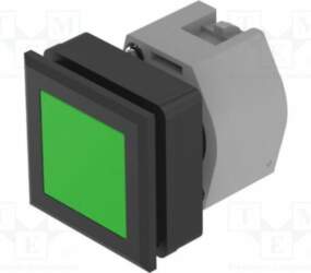 EAO Switch: push-button; 30mm; Stabl.pos: