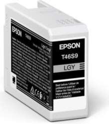 EPSON 1LB Singlepack Light Gray T46S9