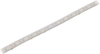 IPIXEL LED LED tape; white cold