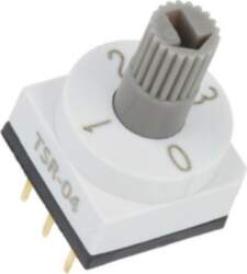 SUNGMUN ELECTRONICS Encoding switch; DEC/BCD; Pos:
