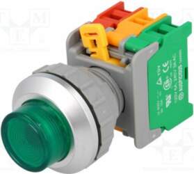 AUSPICIOUS Switch: push-button; 30mm; Stabl.pos: