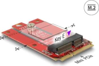 Delock Adapter Mini PCIe > M