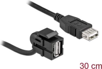 Delock Keystone Module USB 2.0