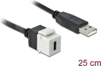 Delock Keystone Module USB 2.0