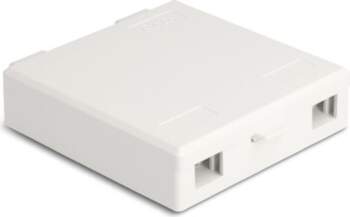 Delock Optical Fiber Connection Box for