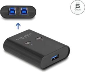 Delock USB 5 Gbps Switch 2