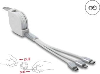 Delock USB Type-C™ 3 in 1