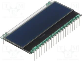 DISPLAY VISIONS Display: LCD; alphanumeric; FSTN