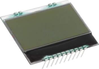 DISPLAY VISIONS Display: LCD; alphanumeric; FSTN