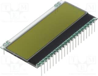 DISPLAY VISIONS Display: LCD; alphanumeric; STN