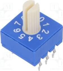 ECE Encoding switch; DEC/BCD; Pos: 10