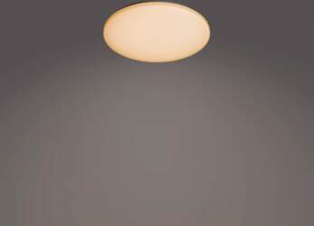Philips Functional Izso Ceiling Light 40
