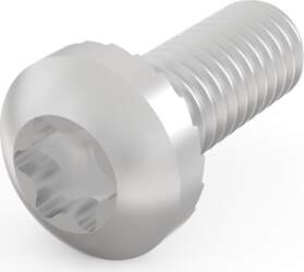 Schroff Panhead Screw, Torx, M4 x