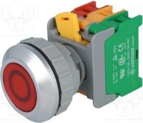 AUSPICIOUS Switch: push-button; 30mm; Stabl.pos: