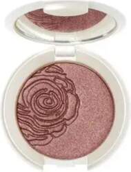 CBN, Source Beaute, Eyeshadow Compact, 49