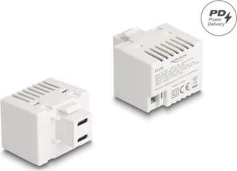 Delock Keystone Module with 2 x