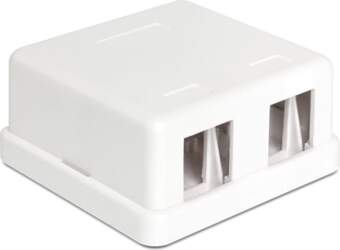 Delock Keystone Surface Mounted Box 2