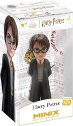 MINIX HARRY POTTER - HARRY POTTER