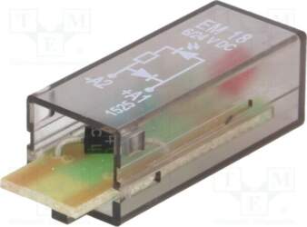 SCHRACK Module protecting; socket; 24VDC; PT