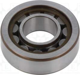 Bearing: rolling; cylindrical roller, single row