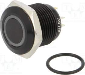 E-SWITCH Switch: vandal resistant; Pos: 2