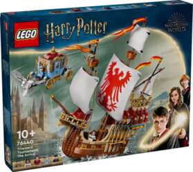 LEGO Bricks Harry Potter 76440 Triwizard