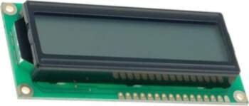 RAYSTAR OPTRONICS Display: LCD; alphanumeric; STN
