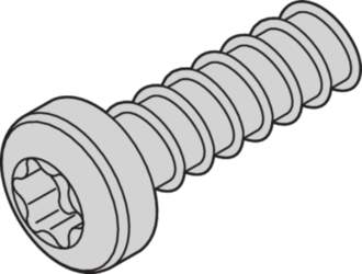 Schroff Panhead Screw, Torx, M2.5