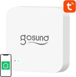 Smart Bluetooth BLE, WiFi Mesh Gateway