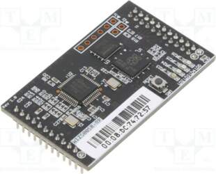 WIZNET Module: Ethernet; Comp: RP2040; Cortex