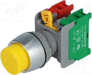 AUSPICIOUS Switch: push-button; 22mm; Stabl.pos: