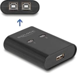 Delock USB 2.0 Switch 2