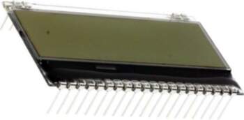 DISPLAY VISIONS Display: LCD; alphanumeric; FSTN