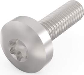 Schroff Panhead Screw, Torx, GND Function