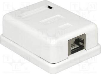Wall socket; white; RJ45 socket; wall