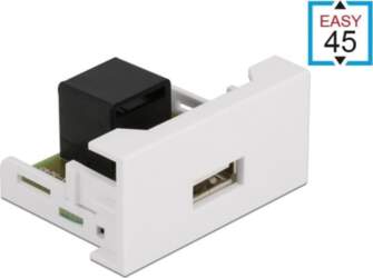 Delock Easy 45 Module USB 2