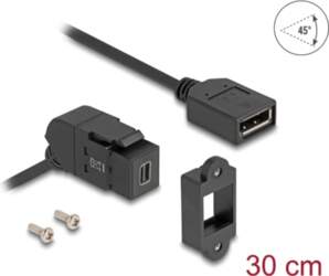 Delock Keystone Module Mini DisplayPort panel