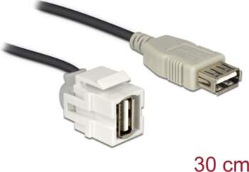 Delock Keystone Module USB 2.0
