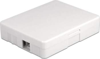 Delock Optical Fiber Connection Box for