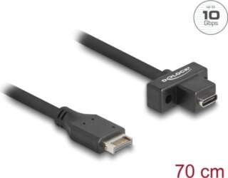 Delock USB 10 Gbps cable Type-E