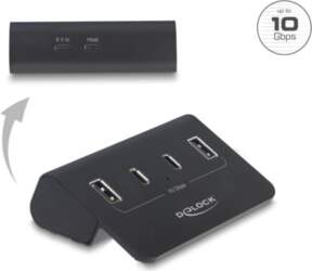Delock USB 10 Gbps Hub with