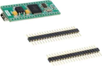 Dev.kit: ARM Texas; prototype board