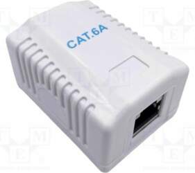 GEMBIRD Wall socket; Cablexpert; white; RJ45