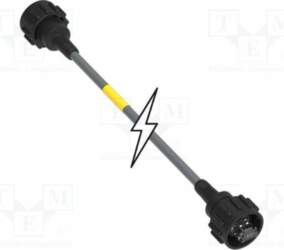 MOLEX Patch cord; Cat 6; both