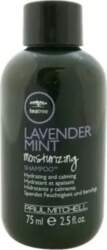 Paul Mitchell Tea Tree Lavender Mint